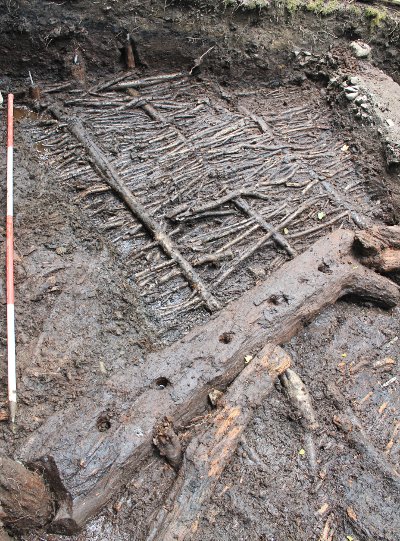 Branch-wood bundles providing the foundation of the flooring (AOC Archaeology Website)